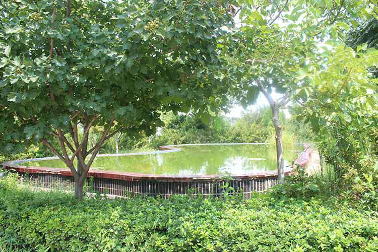 333体育(中国)官方网站-333 SPORTS机械厂区环境优美.jpg